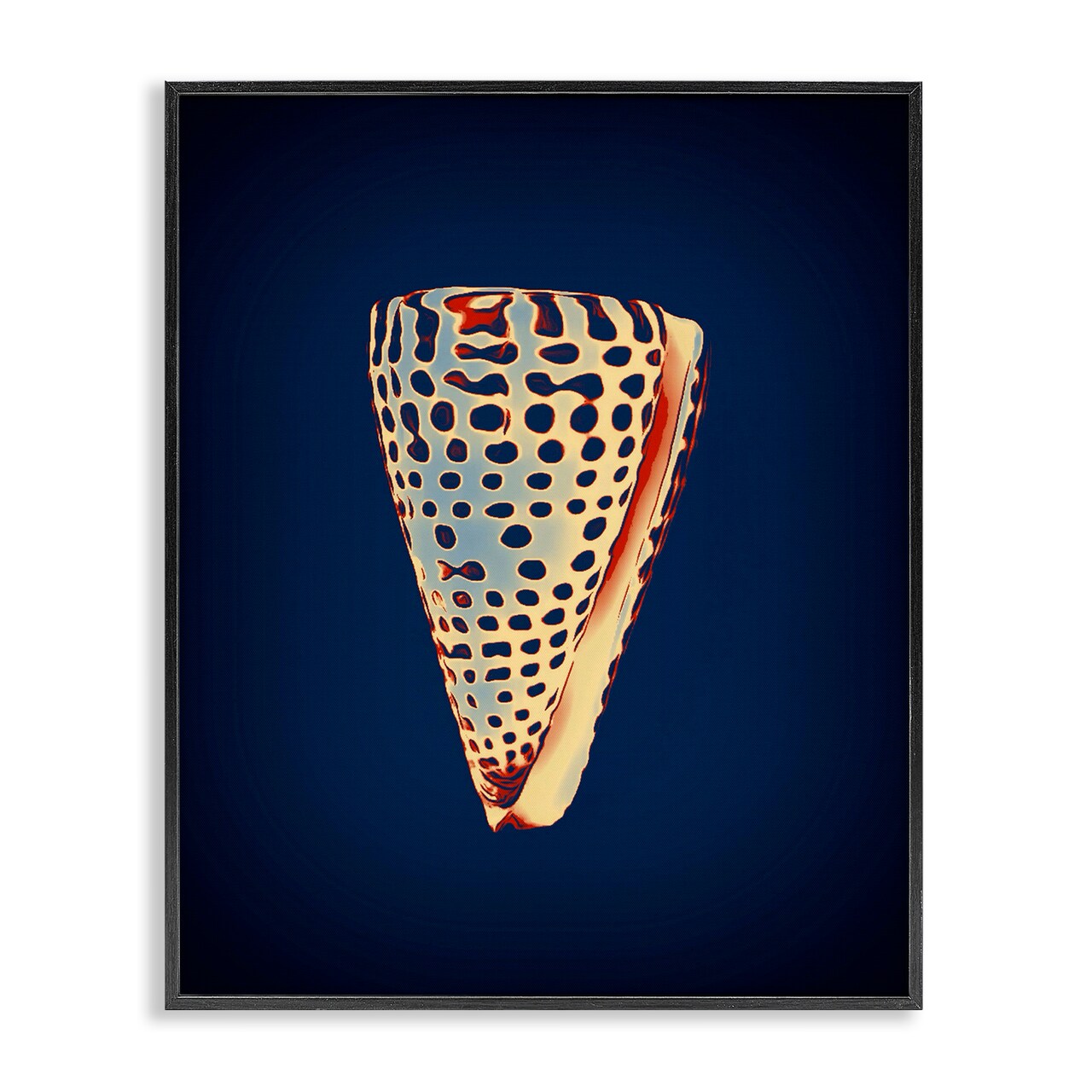 Stupell Industries Cone Shell on Blue Framed Giclee Wall Art Design by Graffi*tee Studios